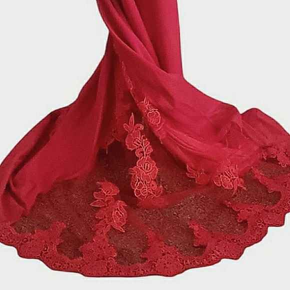 Glam Holiday Red 14 Formal Antique Lace Embroidered Floral Castle Gown New - Picture 4 of 6